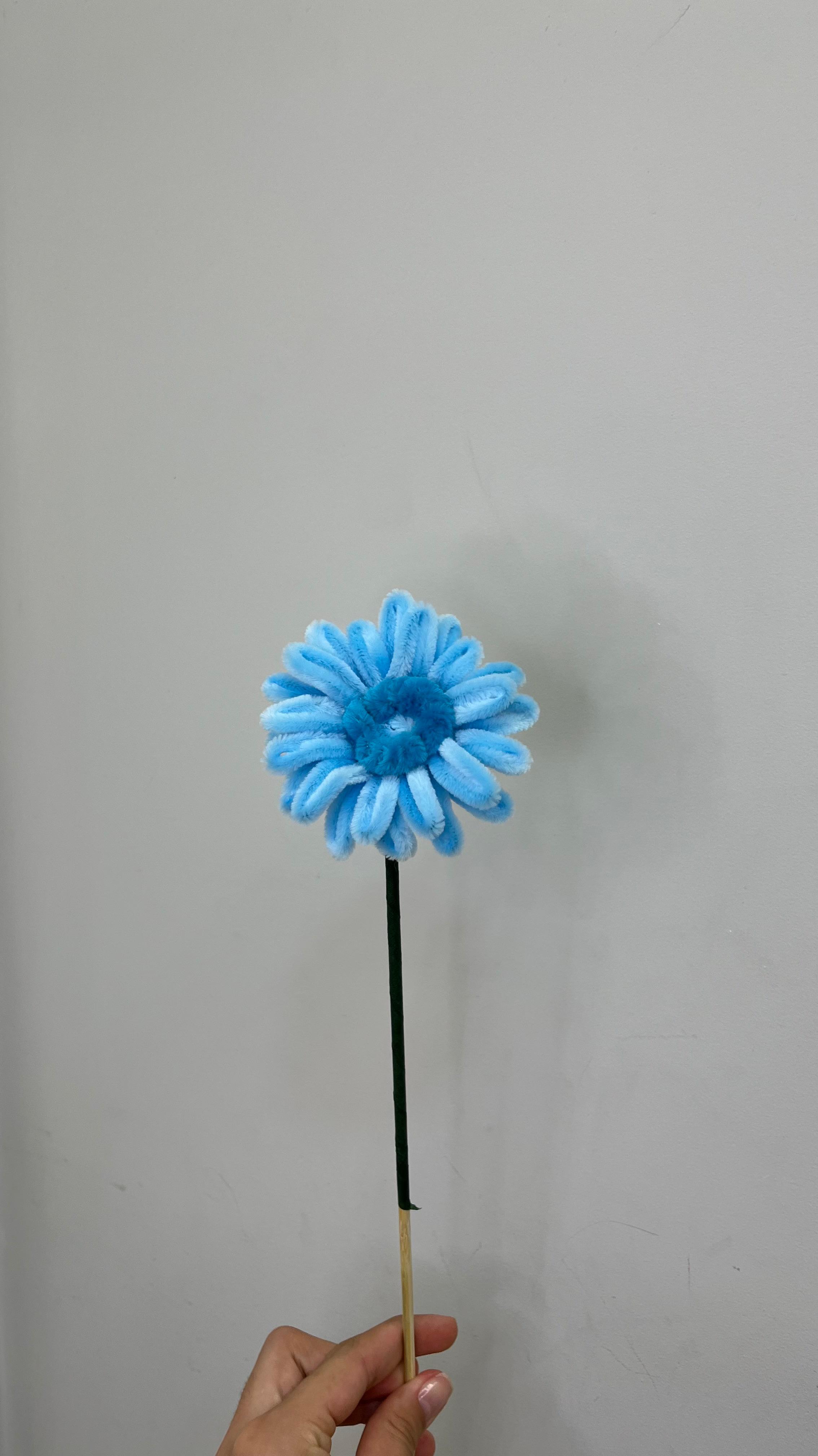 Gerbera PipeFlorYou